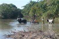 Source: mamytours.com