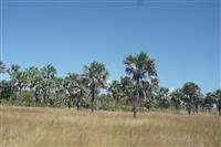 Source: mamytours.com