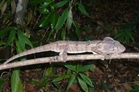 Source: mamytours.com