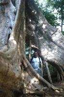 Source: mamytours.com