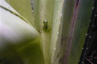 Source: mamytours.com