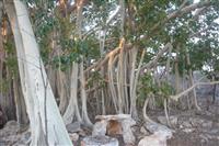 Source: mamytours.com