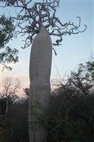 Source: mamytours.com