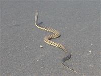 Source: mamytours.com