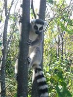 Source: mamytours.com