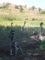 Source: mamytours.com