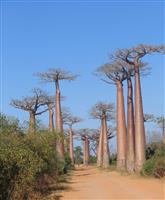 Source: mamytours.com