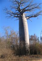 Source: mamytours.com