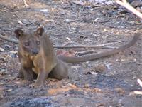 Source: mamytours.com