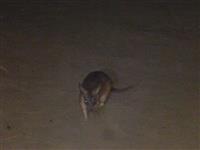 Source: mamytours.com