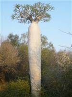 Source: mamytours.com