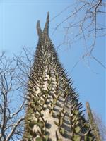 Source: mamytours.com