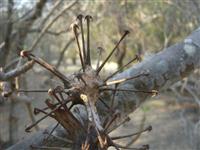 Source: mamytours.com