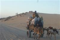 Source: mamytours.com